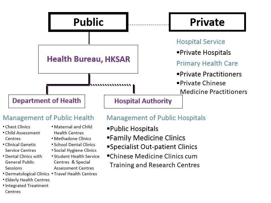 Overall structure of the healthcare system